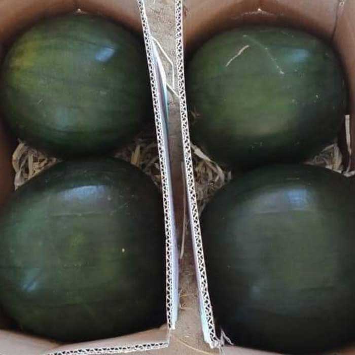 Aton Green Egypt Fresh Fruits & Vegetables